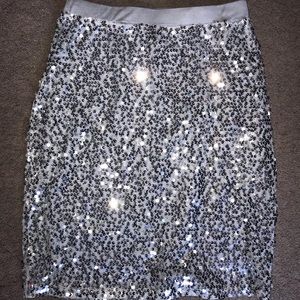 silver sparkly skirt